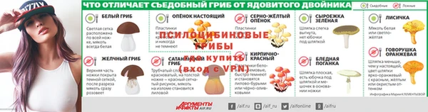 соль ск Лиски