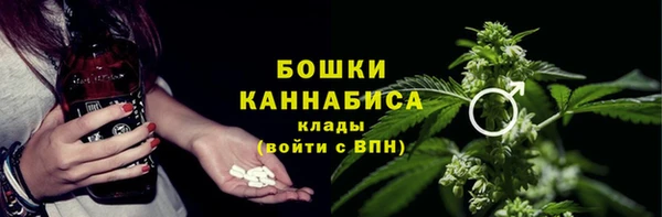 соль ск Лиски