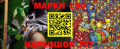 СК Новозыбков