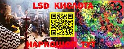PSILOCYBIN Обь