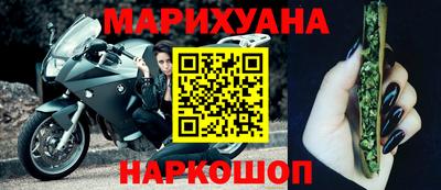 СК Новозыбков