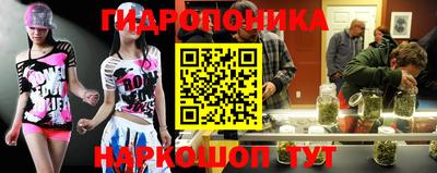 метадон Новодвинск