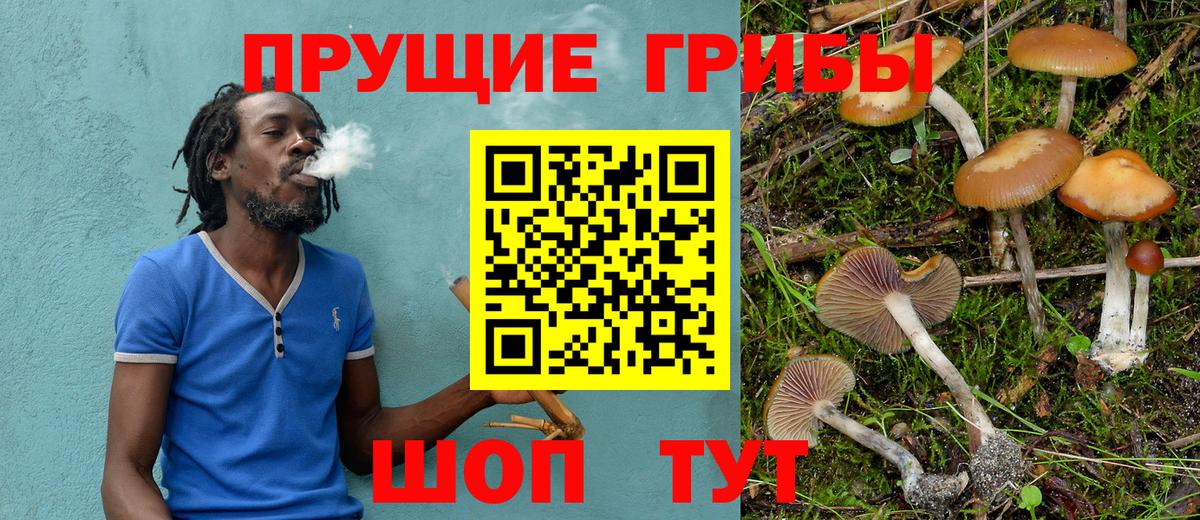 Галлюциногенные грибы Cubensis Обь